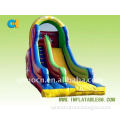 Star inflatable bouncer slide